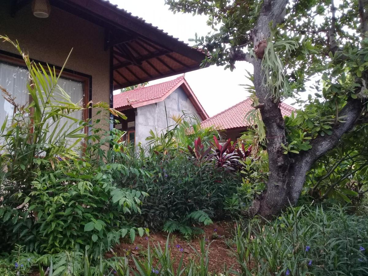 Eliska Sumberkima Pemuteran Extérieur photo